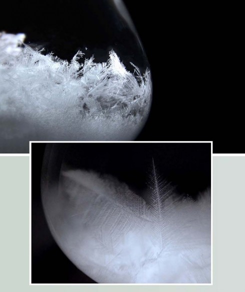 不出門斗室即觀天象 奇幻的天氣預報瓶