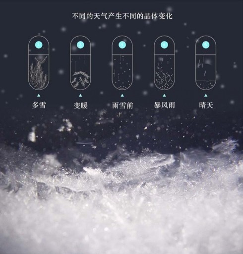 不出門斗室即觀天象 奇幻的天氣預報瓶