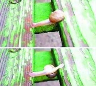 enDH\uۤv䭹 b`_^a