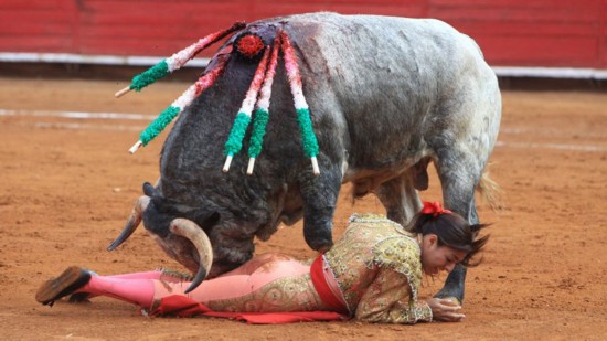 墨西哥女斗牛士被公牛顶飞 愤怒公牛搅乱赛场