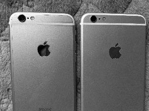 Ůʿⲿֻ()iPhone6 Plus()Աȷ֣˺ܶ࣬ƺƻʶҲв졣