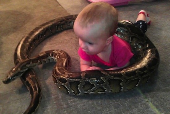 美国男子爱蛇如命:4米长巨蟒与女儿们共舞
