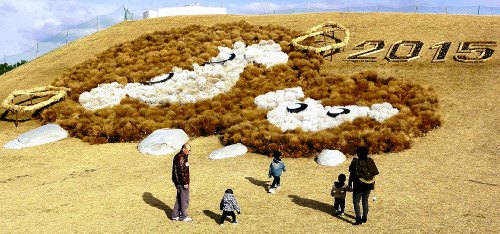 日本福冈一公园用植物打造巨幅山羊母子图(图