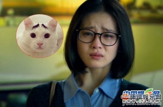 荧屏女神哭泣谁最美?全智贤尹恩惠刘诗诗杨幂