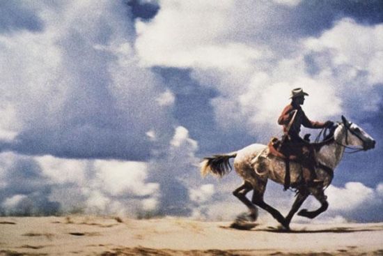 Untitled(Cowboy)(ţ)ӰRichard Prince(2001-02)340Ԫ ͼƬԴй