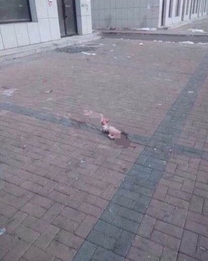 吉林一死亡女婴被弃人行道 脐带尚未剪断