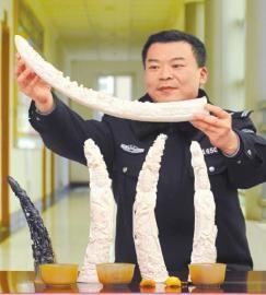 四川女演员朋友圈非法卖犀牛角 一天赚32万(图 ...