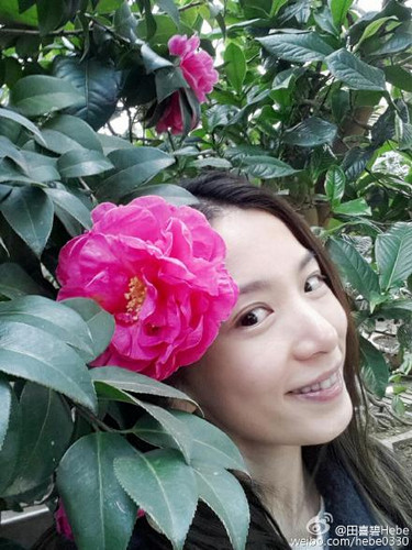 田馥甄晒与茶花合影 网友点赞:人比花娇(图)