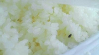乘客買45元高鐵盒飯 發現大量“芝麻”狀黑虫
