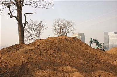 图片版权归原作者所有 图片版权归原作者所有