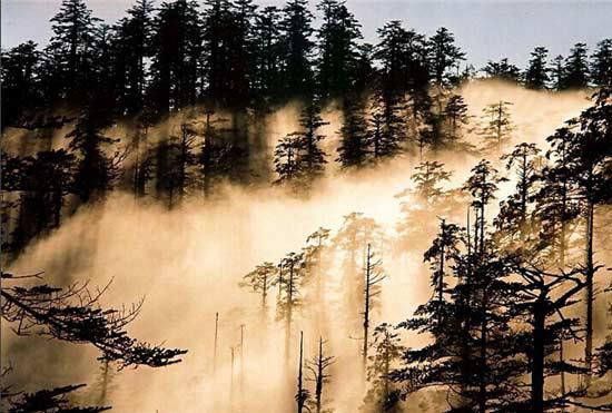 河南封门村 灵异鬼村 中国最恐怖旅游禁区