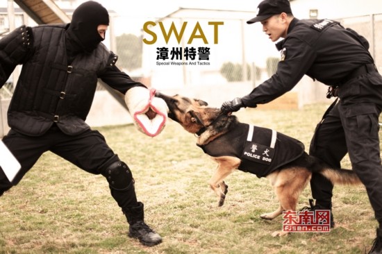 警犬扑咬