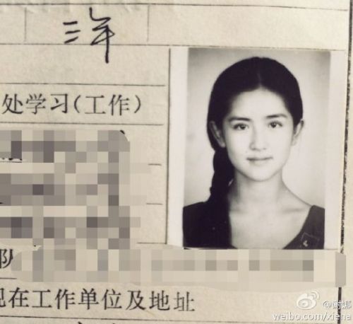 谢娜大学成绩单触目惊心黄磊杨幂王力宏明星学霸PK学渣