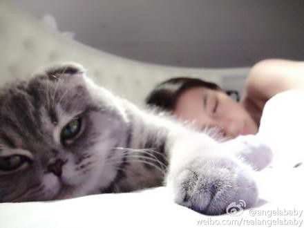 爆Angelababy海量自拍照 无死角美颜手机成秘