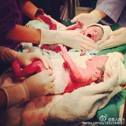 范玮琪诞下双胞胎儿子黑人微博报平安（图）