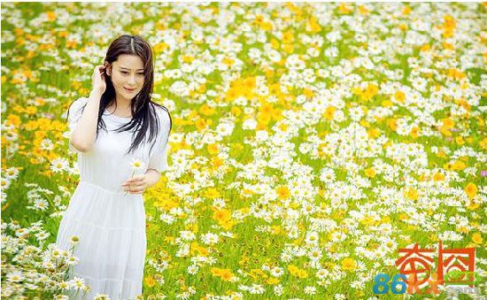 张馨予李佳航《奋囧》最新剧情 电视剧1-35集