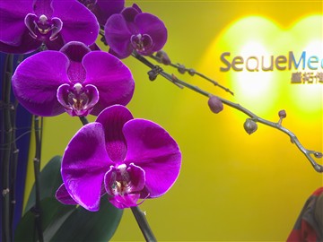 2299��Ȼֵ�ù��� С��Noteȫ������
