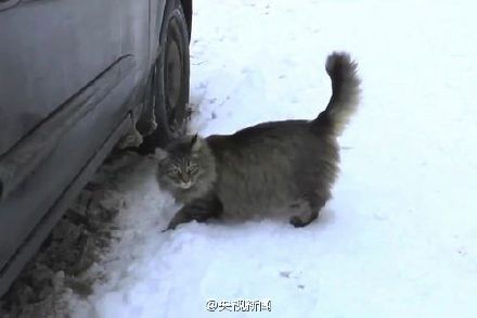 【用冰天雪地造句】