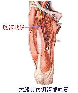 25岁女子患上深静脉血栓因吃紧急避孕药 深静