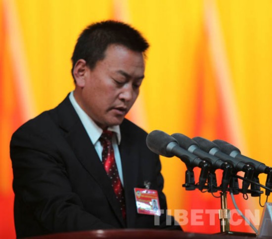 西藏基层政协委员:部分惠农政策落实不到位
