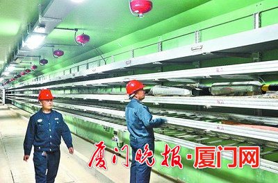 厦门将建118公里地下管廊 成立公司专管地下