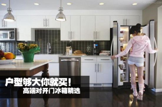 户型够大你就买!高端对开门冰箱精选
