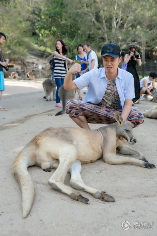 传陈赫离婚劈腿张子萱双双否认 陈赫许婧昔日