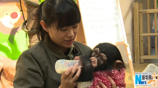 Chinese showbiz entertainers Li Yuchun, Ni Ni, Myolie Wu, Huang Xuan, Du Haitao and Du Tianhao take part in a new reality TV show 'Wonderful Friends', created and produced by Hunan TV. The six stars will serve as animal keepers at a safari. (Photo Source: ent.news.cn)