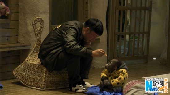 Chinese showbiz entertainers Li Yuchun, Ni Ni, Myolie Wu, Huang Xuan, Du Haitao and Du Tianhao take part in a new reality TV show 'Wonderful Friends', created and produced by Hunan TV. The six stars will serve as animal keepers at a safari. (Photo Source: ent.news.cn)