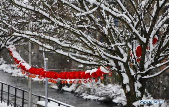 The street is decorated with Chinese lanterns during the Art Biennale in Theux in eastern Belgium on Jan. 24, 2015. 