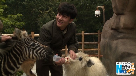 Chinese showbiz entertainers Li Yuchun, Ni Ni, Myolie Wu, Huang Xuan, Du Haitao and Du Tianhao take part in a new reality TV show 'Wonderfui Friends', created and produced by Hunan TV. The six stars will serve as animal keepers at a safari. (Photo Source: ent.news.cn)