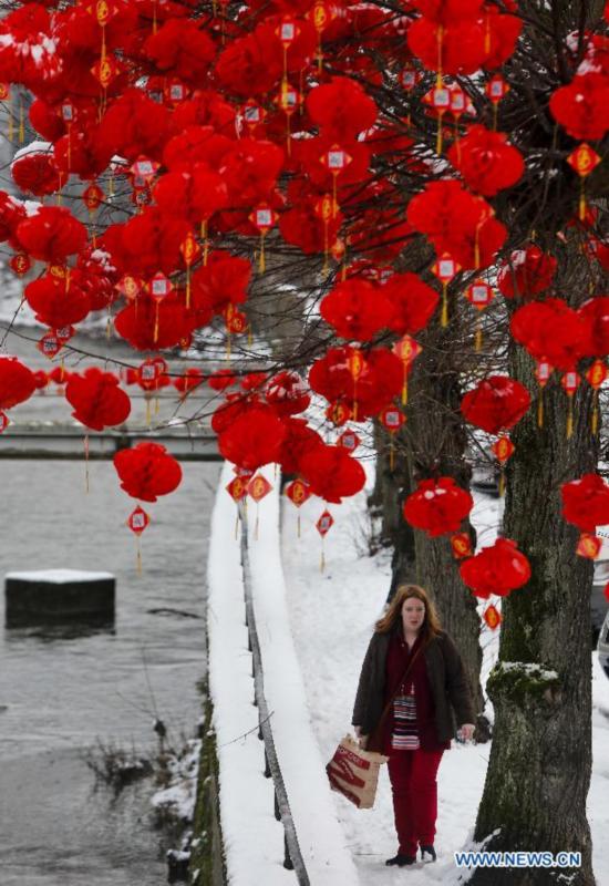 A local resident walk past the tree decorated with Chinese lanterns during the Art Biennale in Theux in eastern Belgium on Jan. 24, 2015.