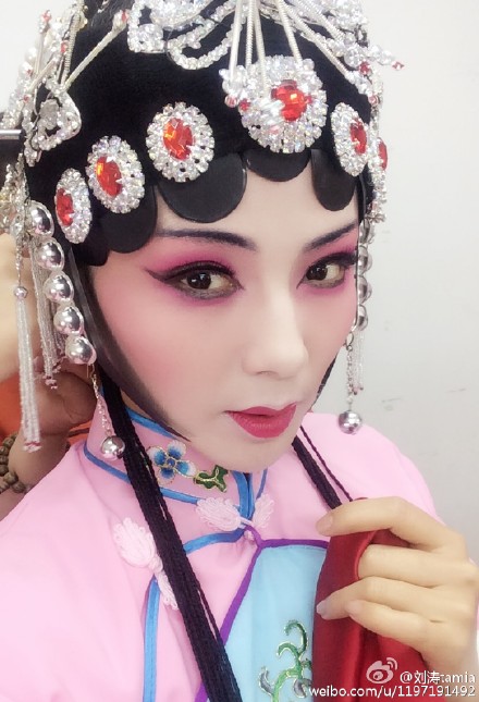 刘涛晒妩媚动人京剧扮相 网友调侃：想起了女人花(图)
