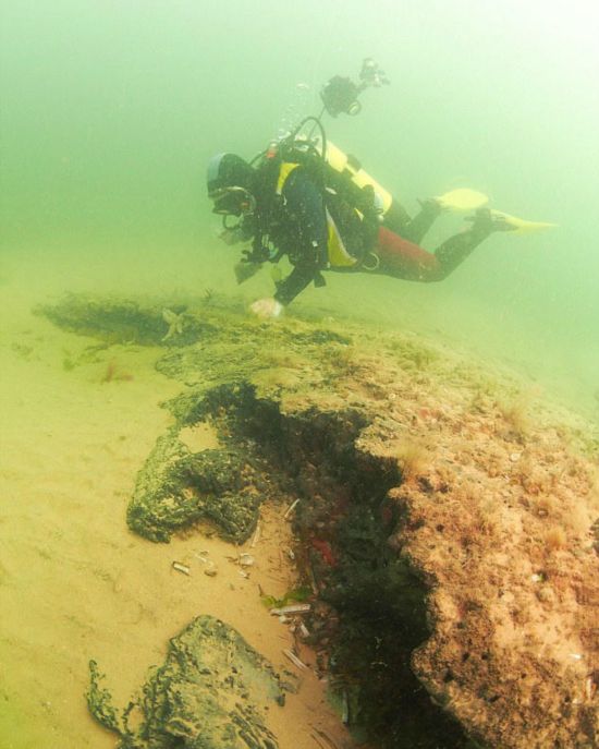 北海海底现1万年前远古树林 历史可追溯到冰河