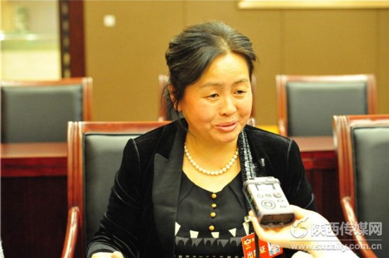 委员审议陕西省政府工作报告:写得短,写得实,希