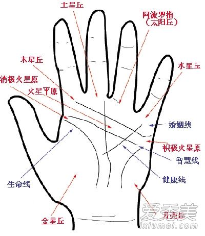 女人<em>左手</em>断掌代表什么_断掌的女人命_<em>左手</em>断