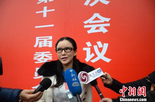 明星委员彭丹谈文艺反腐:文艺界的反腐已经开始了