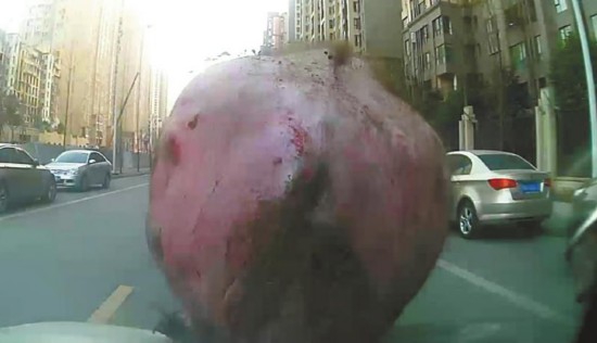 9573263708091701830.jpg