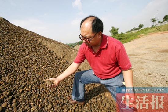 男子紮根南寧21年收藏邕江石60噸 想開博物館(圖)