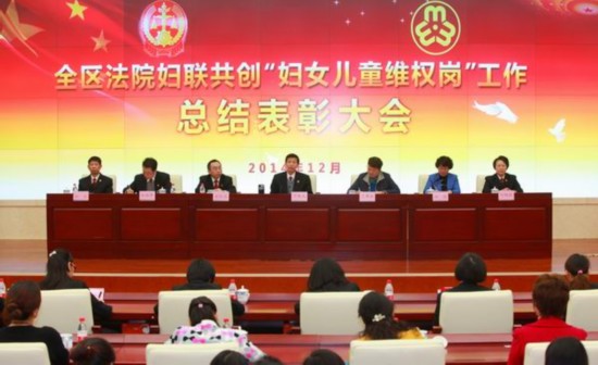 全区法院妇联共创妇女儿童维权岗工作总结表