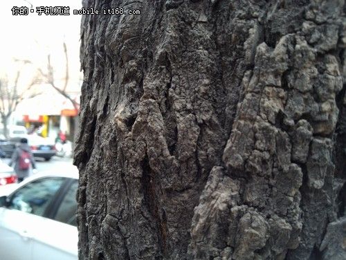 ����+�ܽ�