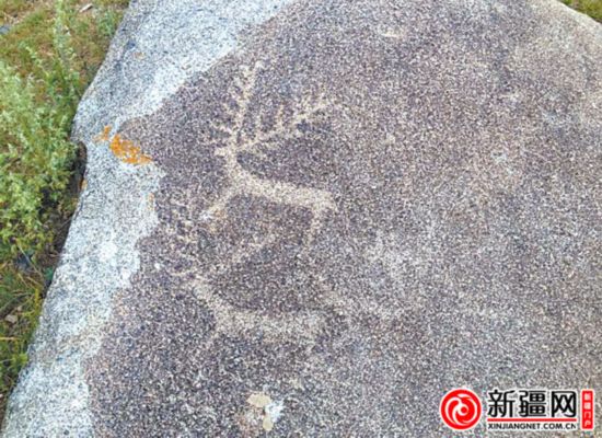 图片版权归原作者所有