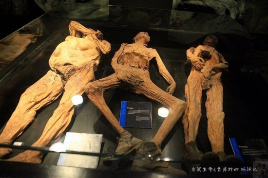 慎入!揭秘世界上最恐怖的尸体博物馆(组图)