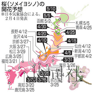 日本今年樱花开放时间或与往年相同