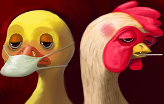 禽流感最新消息:浙江诸暨确诊1例H7N9病例现