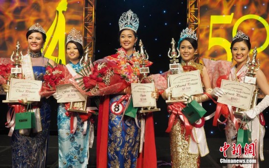 英国一平衡狗能头顶红酒和圣诞树 萌态可掬(