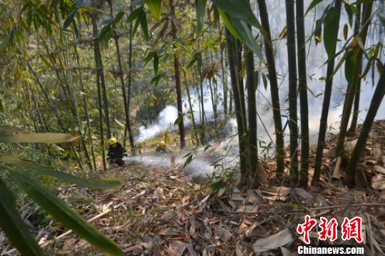 一男孩泄憤燒試卷引發山火過火面積萬余平米