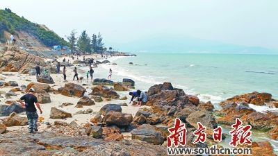 深圳杨梅坑海鲜图片_深圳南澳杨梅坑风景图片/深圳南澳杨梅坑风景素材/深圳西冲海滩(3)