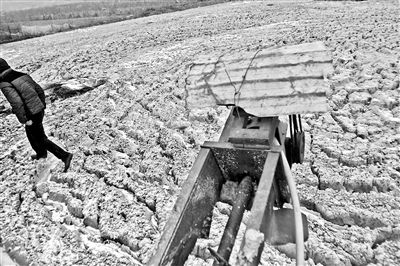 甘肃静宁现水污染:自来水中竟有1厘米长虫子(