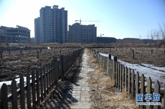 购房人缘何梦断桃花源?--沈阳一楼盘崩盘调